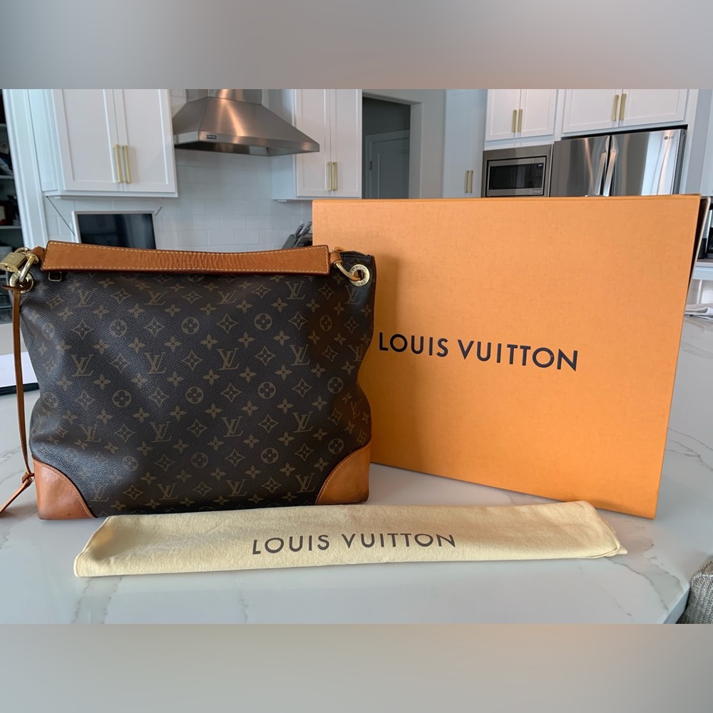 Louis Vuitton Berri Bag
